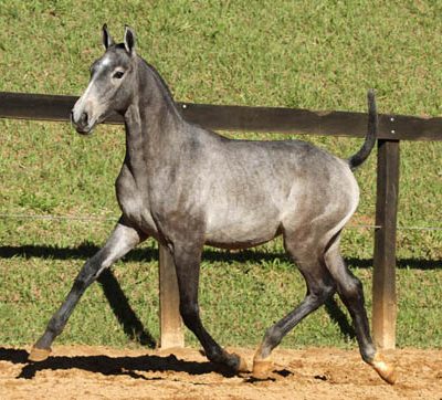 Lot 14b - Honos Interagro