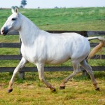 Aphrodite Interagro/Martina Brandes