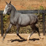 Batel Interagro/TUPA