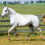 Calliope Interagro/Martina Brandes