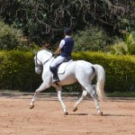 Bungo Interagro/Martina Brandes