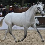 Esfinge Interagro/Ney Messi