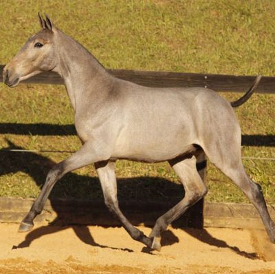 Lot 09b - Exitus Interagro