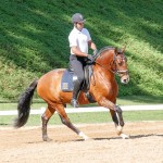 Johnny Miranda & Fauno Interagro/Interagro Lusitanos