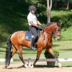 Johnny Miranda & Fauno Interagro/Interagro Lusitanos