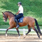 Johnny Miranda & Fauno Interagro/Interagro Lusitanos