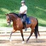 Johnny Miranda & Fauno Interagro/Interagro Lusitanos
