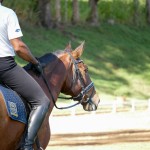 Johnny Miranda & Fauno Interagro/Interagro Lusitanos