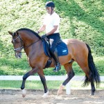 Fauno Interagro/Interagro Lusitanos