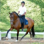 Fauno Interagro/Interagro Lusitanos