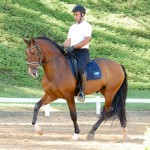 Fauno Interagro/Interagro Lusitanos