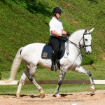 Alexandre Souza & Feitor Interagro/Interagro Lusitanos