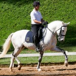 Alexandre Souza & Feitor Interagro/Interagro Lusitanos