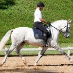 Alexandre Souza & Feitor Interagro/Interagro Lusitanos