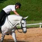 Alexandre Souza & Feitor Interagro/Interagro Lusitanos
