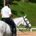 Alexandre Souza & Feitor Interagro/Interagro Lusitanos