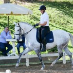 Alexandre Souza & Feitor Interagro/Interagro Lusitanos