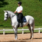 Alexandre Souza & Feitor Interagro/Interagro Lusitanos