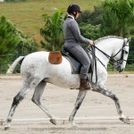 Feitor Interagro/Interagro Lusitanos