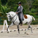 Feitor Interagro/Interagro Lusitanos