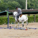 Feitor Interagro/Interagro Lusitanos