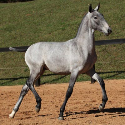 Lot 09a - Filamon Interagro