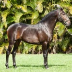 Hospedeiro Interagro/TUPA