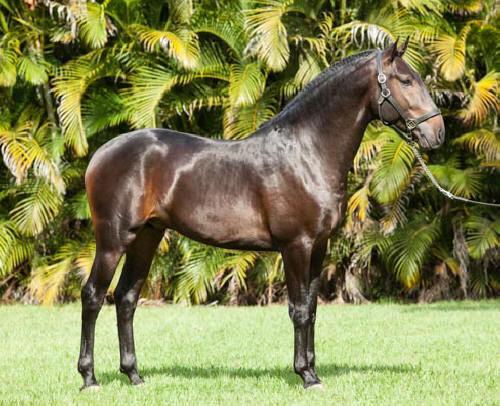 Hospedeiro Interagro/TUPA