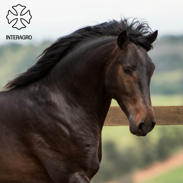 Hospedeiro Interagro/TUPA