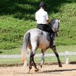 Edmar Brito & Hadrian Interagro/Interagro Lusitanos