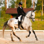 Hadrian Interagro/Edmar Brito