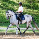 Hadrian Interagro/Interagro Lusitanos