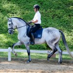 Hadrian Interagro/Interagro Lusitanos