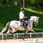 Hadrian Interagro/Interagro Lusitanos