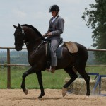 Horácio Interagro/Interagro Lusitanos