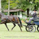 Hospedeiro Interagro/Interagro Lusitanos