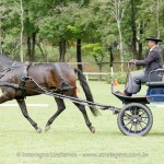 Hospedeiro Interagro/Interagro Lusitanos