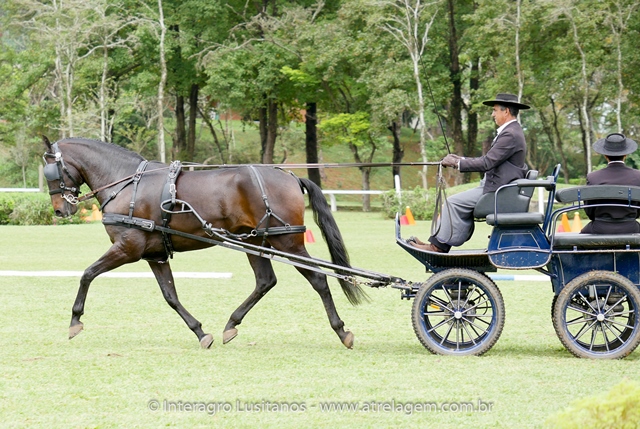 Hospedeiro Interagro/Interagro Lusitanos