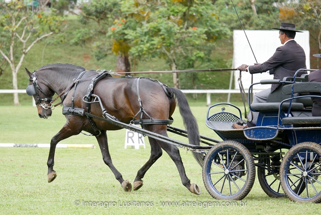 Hospedeiro Interagro/Interagro Lusitanos