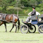 Hospedeiro Interagro/Interagro Lusitanos