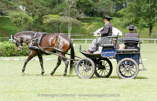 Hospedeiro Interagro/Interagro Lusitanos