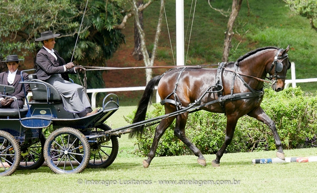 Hospedeiro Interagro/Interagro Lusitanos