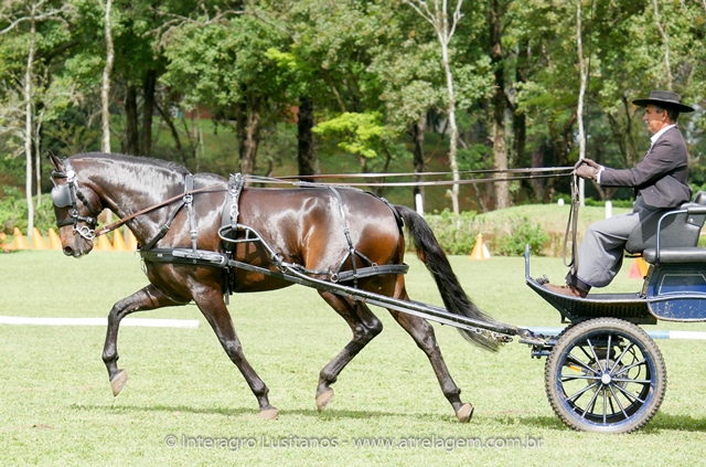 Hospedeiro Interagro/Interagro Lusitanos