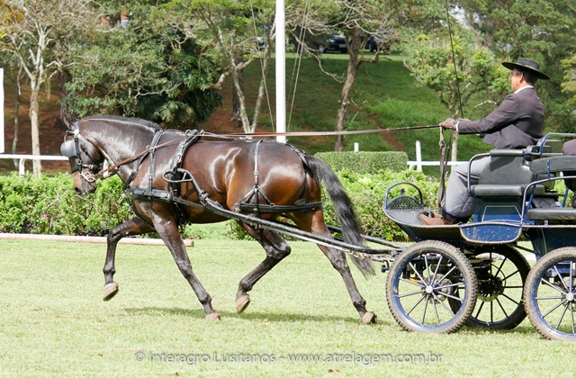 Hospedeiro Interagro/Interagro Lusitanos