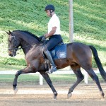 Johnny MIranda & Hospedeiro Interagro/Interagro Lusitanos