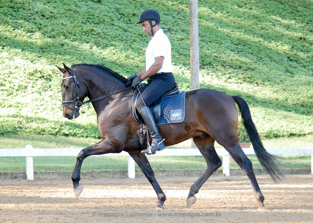 Johnny MIranda & Hospedeiro Interagro/Interagro Lusitanos