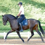 Johnny MIranda & Hospedeiro Interagro/Interagro Lusitanos