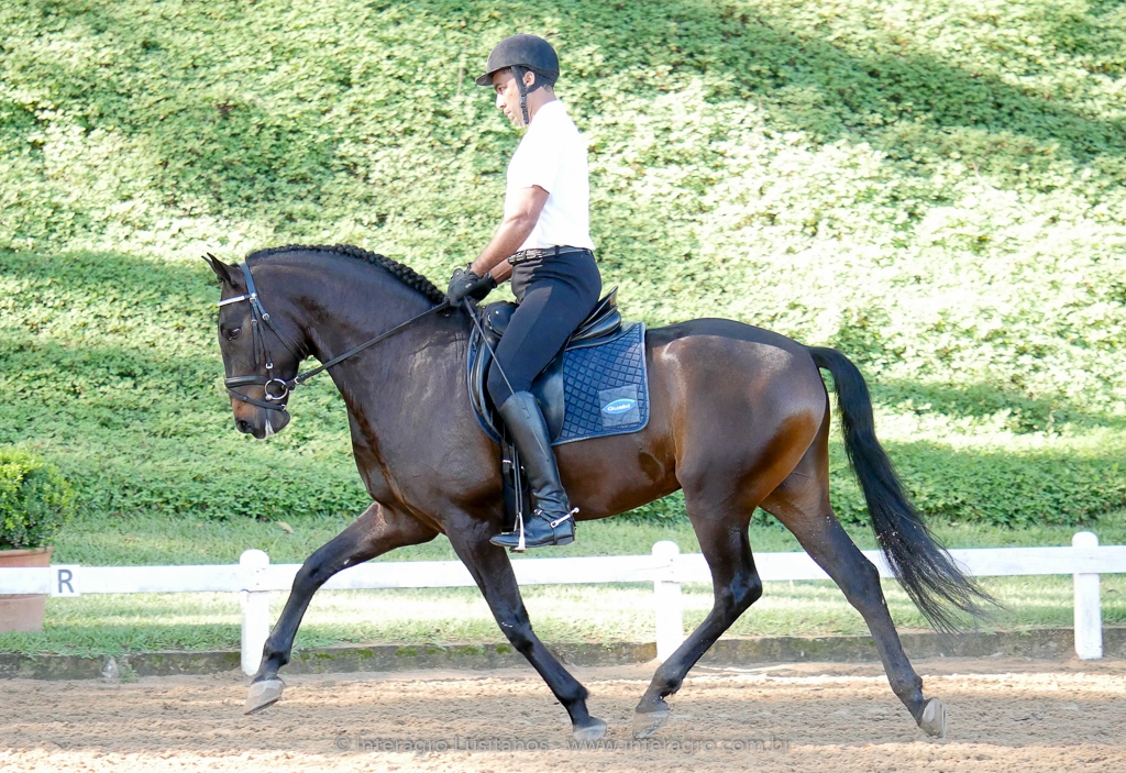 Johnny MIranda & Hospedeiro Interagro/Interagro Lusitanos