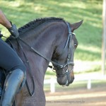 Johnny MIranda & Hospedeiro Interagro/Interagro Lusitanos
