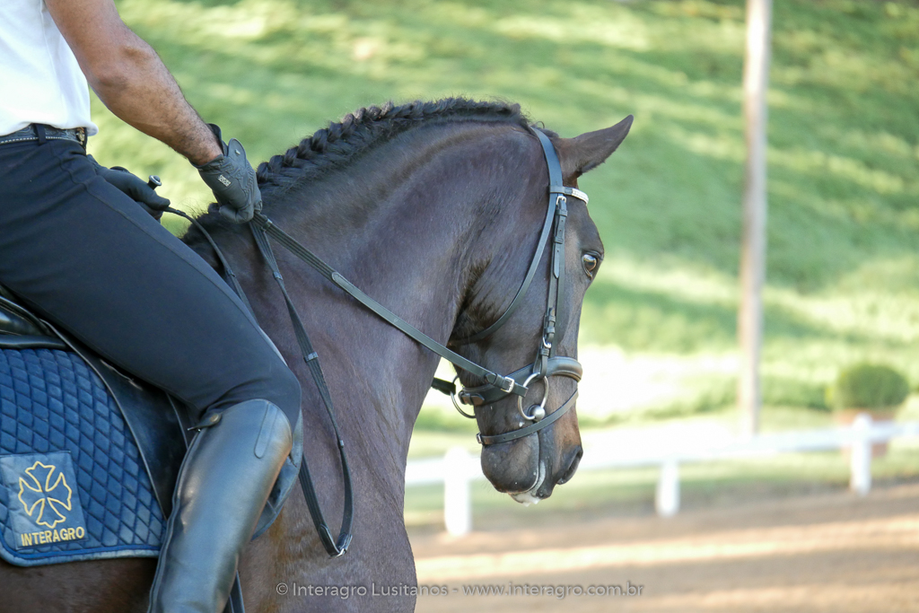 Johnny MIranda & Hospedeiro Interagro/Interagro Lusitanos